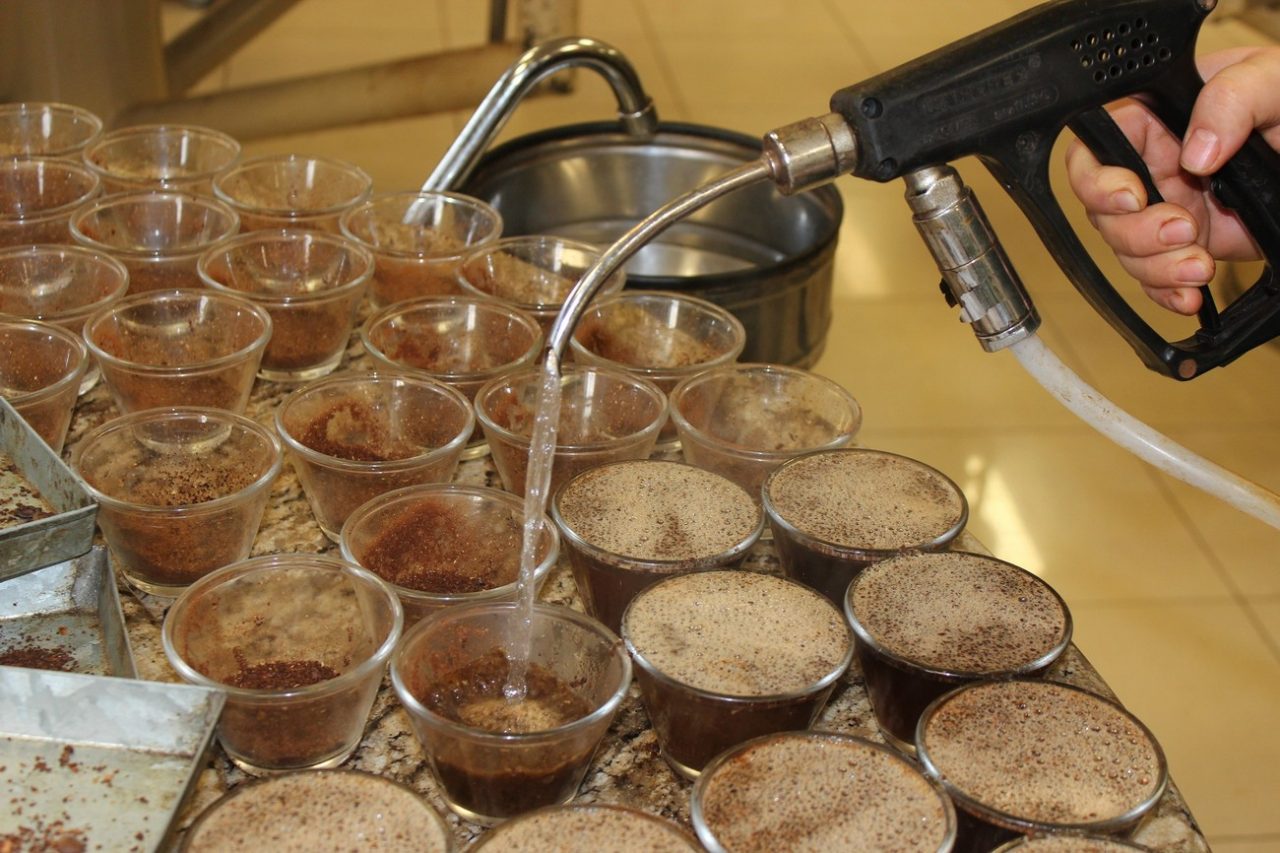 Etapa internacional acontece em Guaxupé e analisará no total 80 amostras de cafés