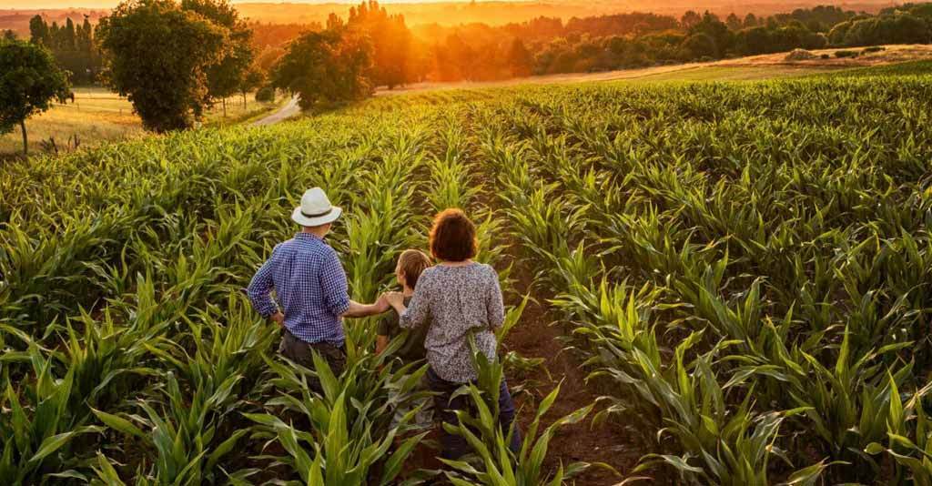 agricultura-familiar-capa