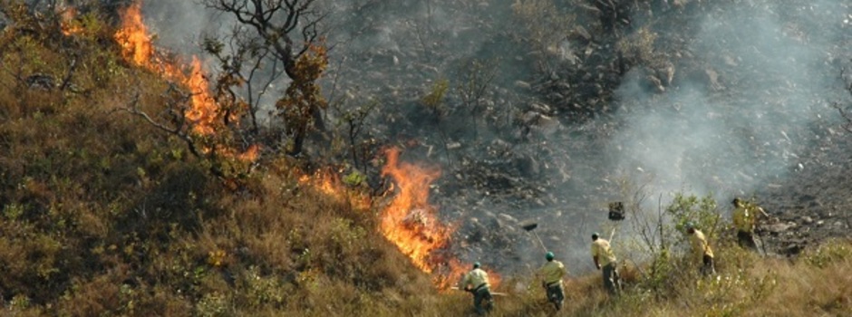 Combate_a_incêndio_floresta_em_Minas_-_Foto_Evandro_Rodney