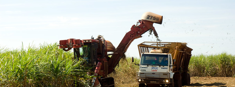SAV_2267_HI_-_cana_-_canavial_-_produção_-_plantação_-_colheita_-_cana-de-açúcar_-_Eugênio_Sávio_(1)