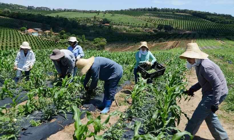 agricultores-familiares_1_115884