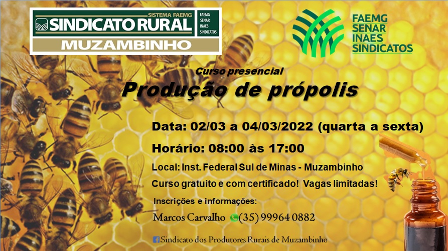 CursoSenar0322a