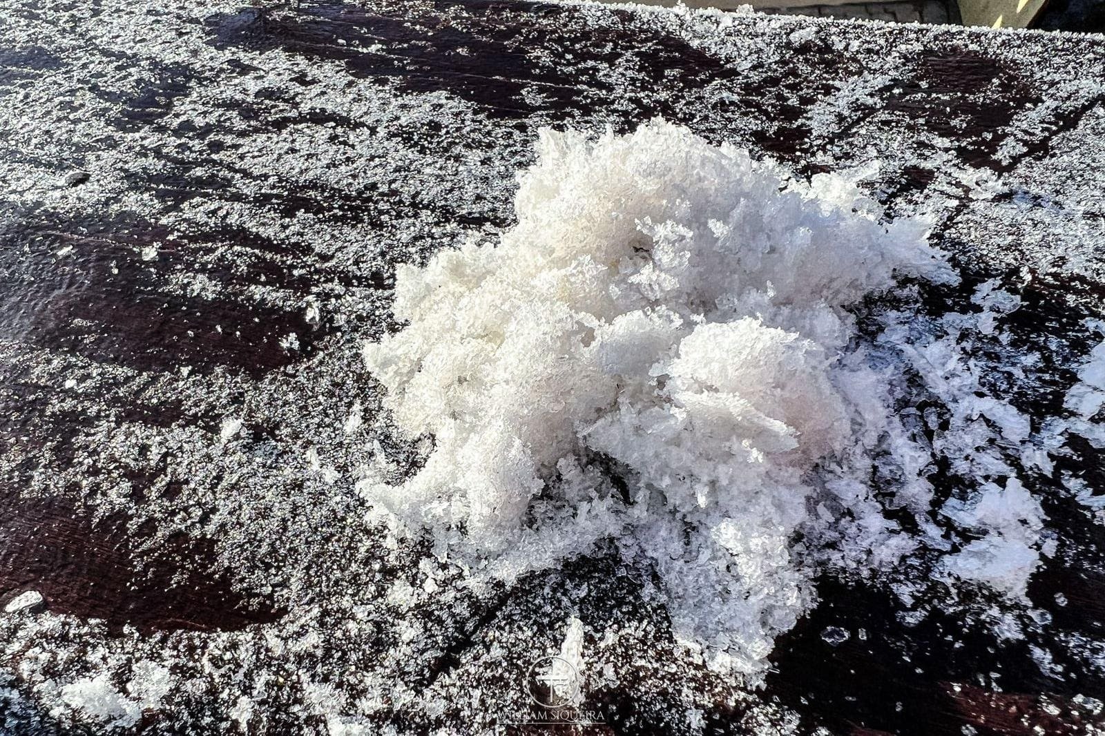 Minas Registra Recorde De Frio Com Geada E Temperatura Negativa Nesta Terça