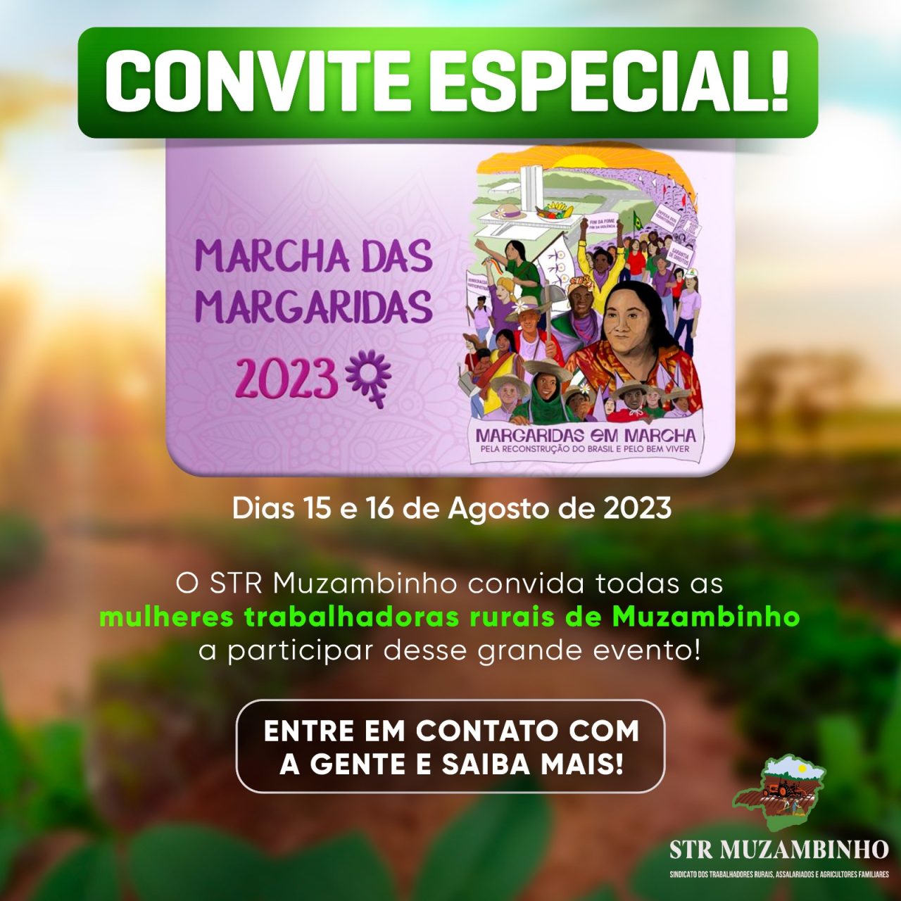 a1d4bb8c-4369-4b5d-9327-657879fca3e2