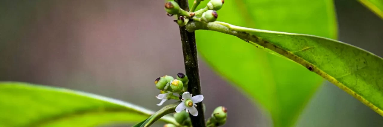 27121930847213 27121930847213