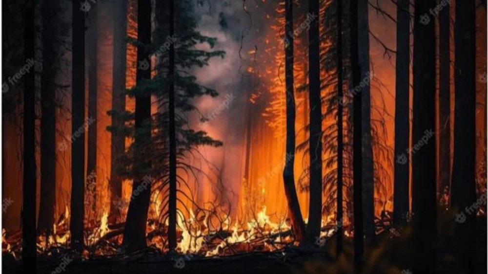 incendio-queimada-fogo-189