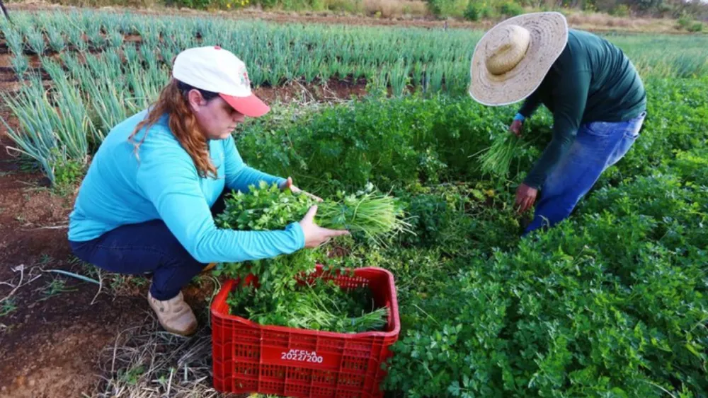 4123759241927350953412741023235 4123759241927350953412741023235