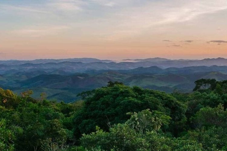 Minas lidera criação de reservas