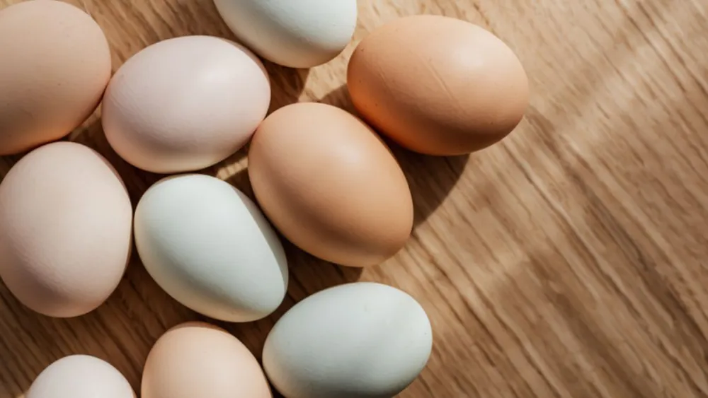 ovos-2358825 ovos-2358825